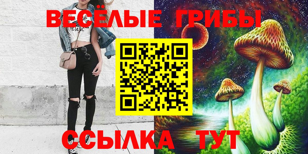 Псилоцибиновые грибы Cubensis  Вход с VPN  Галлюциногенные грибы ЛСД  Будённовск 