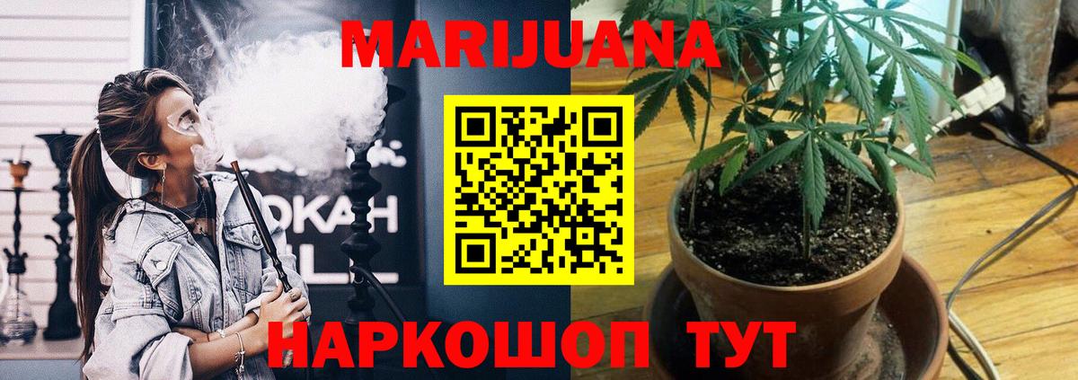 МАРИХУАНА ГИДРОПОН Будённовск